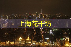 上海后花园惊艳绽放:体验别样醉人的花海世界 上海后花园惊艳绽放:体验别样醉人的花海世界